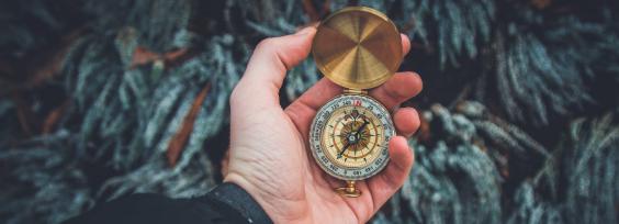 Is Customer Orientation the Key to Business Success?