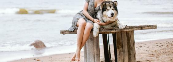 9 Steps to Create Customer Loyalty on Your Ecommerce Website