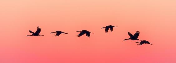 What Is Churn Rate and Why It Will Mess With Your Growth