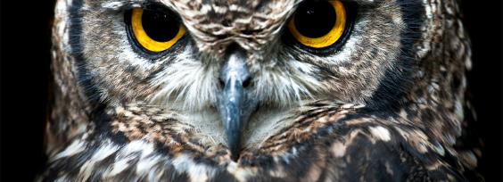 Great Customer Service Quotes and What You Can Learn From Them