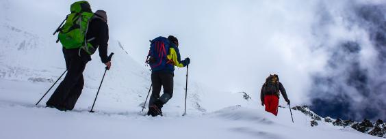 Working Together as a Team: How to Achieve it?